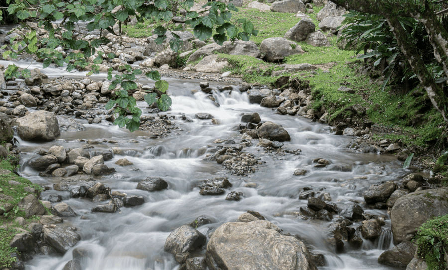 business team meeting, water quality review, compliance discussion, SaaS planning