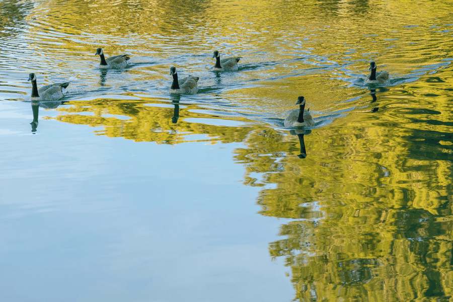 FAQ discussion, compliance questions, water quality consulting, SaaS support